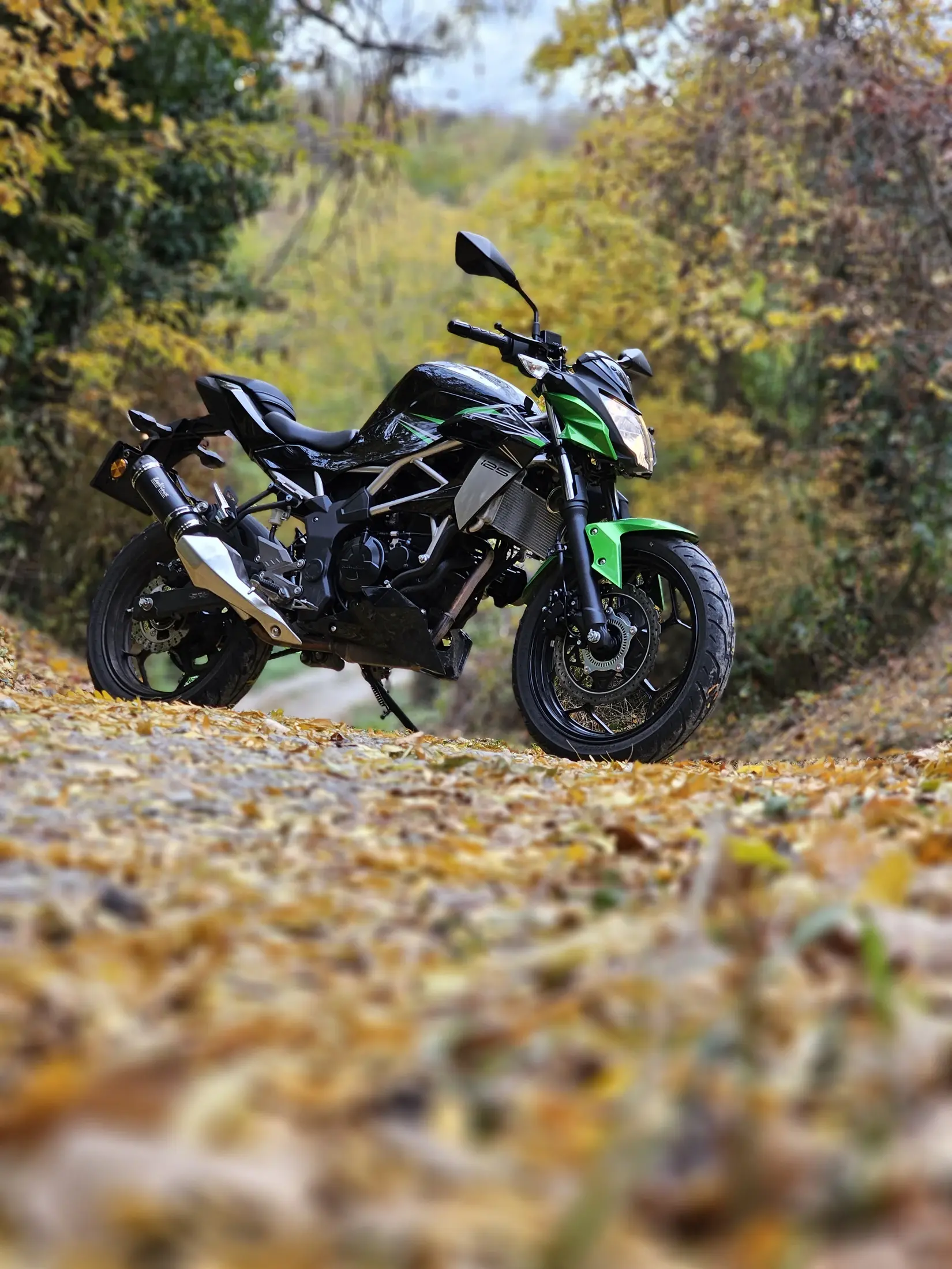 Zöld motor őszi úton